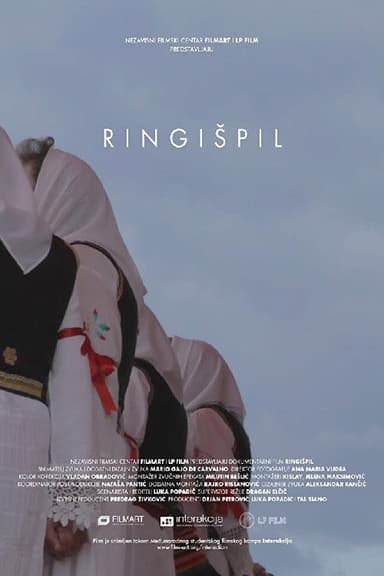 The Carousel poster