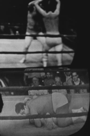 Wrestling poster