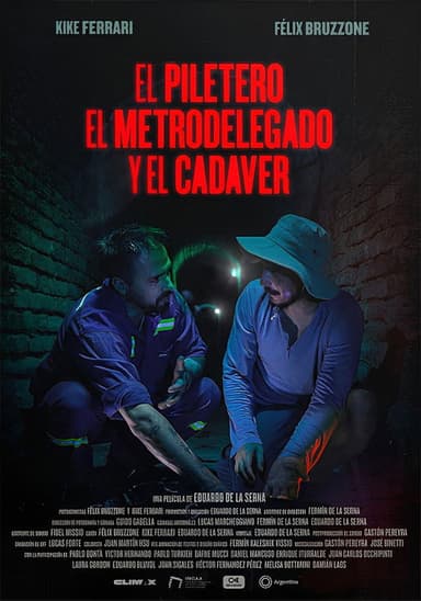 The Pool Boy, the Metro Delegate and the Corpse poster