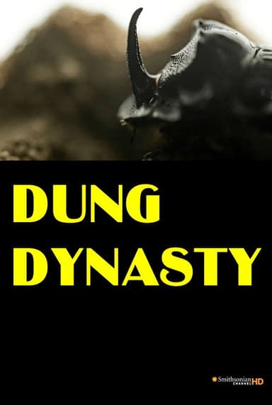 Dung Dynasty poster