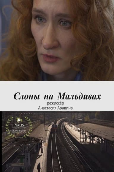 Слоны на Мальдивах poster