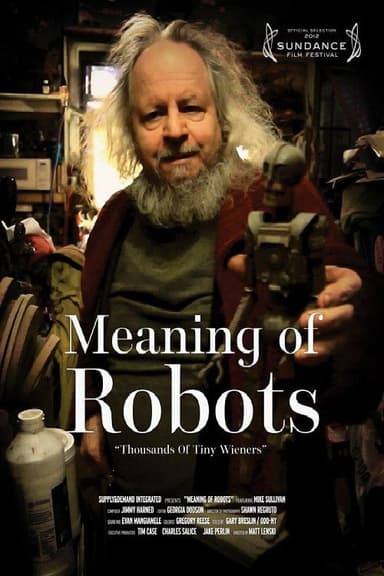 Meaning of Robots poster