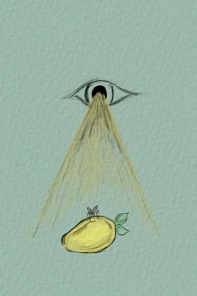 To Be A Fly On Your Mango poster