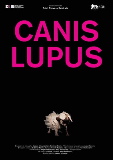 Canis lupus poster