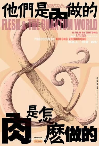 Flesh & The Quantum World poster