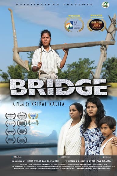 Bridge poster