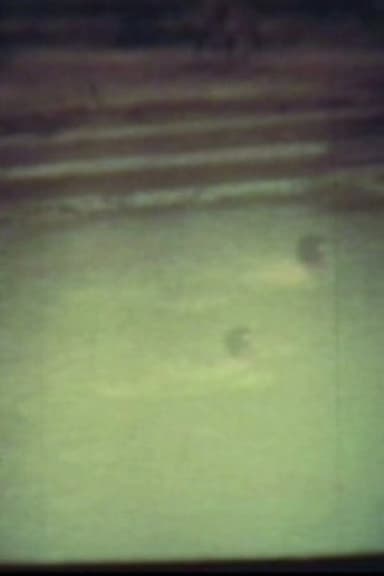 In The River poster