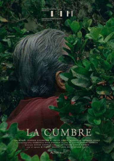 La Cumbre poster