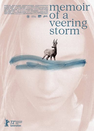 Memoir of a Veering Storm poster