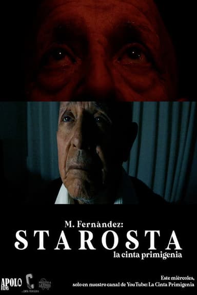 STAROSTA poster