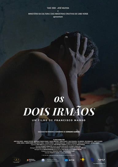 The Two Brothers poster