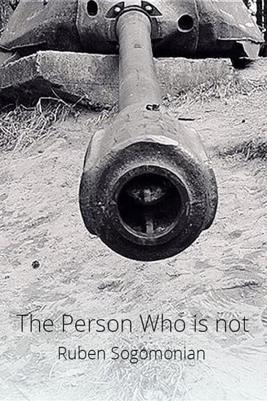 The Person Who Is Not poster