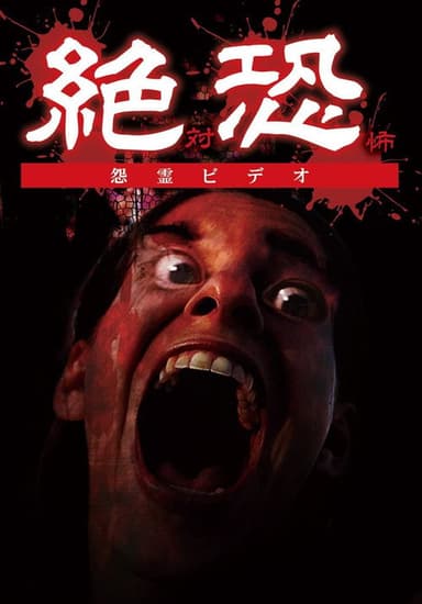 Horror Vengeful Ghost Video poster