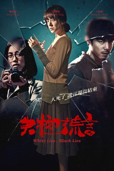 White Lies, Black Lies poster
