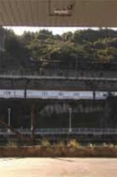 Puerta Beta poster