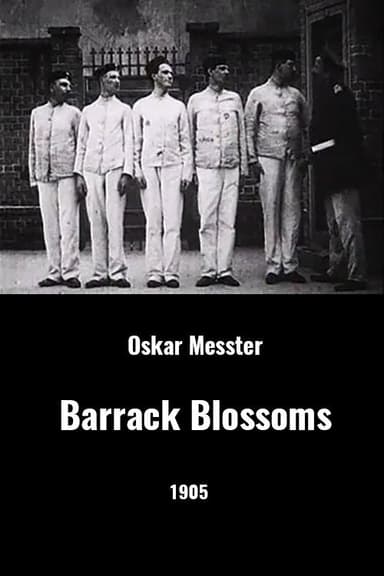 Barrack Blossoms poster