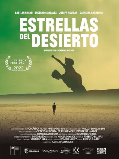 Desert Lights poster
