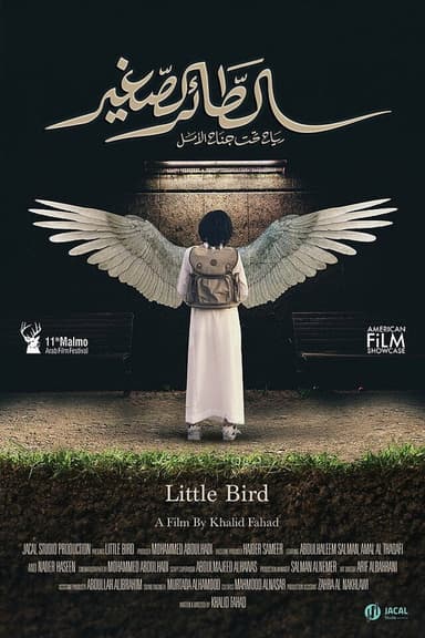 Little Bird poster