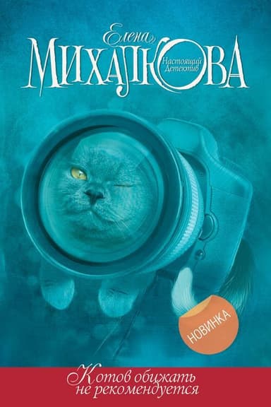 Котов обижать не рекомендуется poster