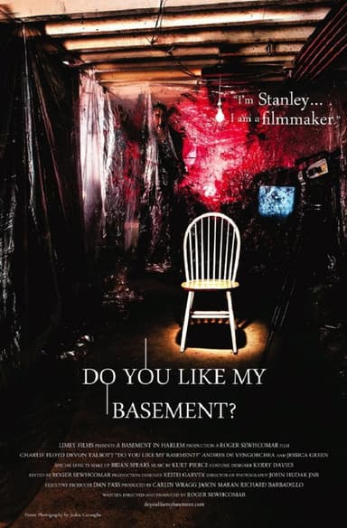 Do You Like My Basement? poster