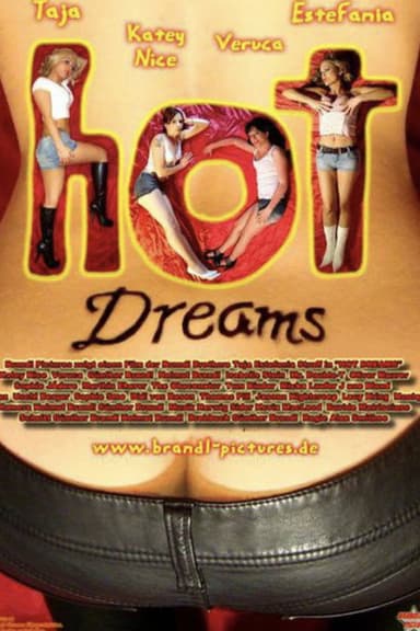Hot Dreams poster
