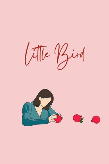 Little Bird poster