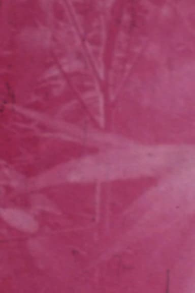 Ornamentals poster
