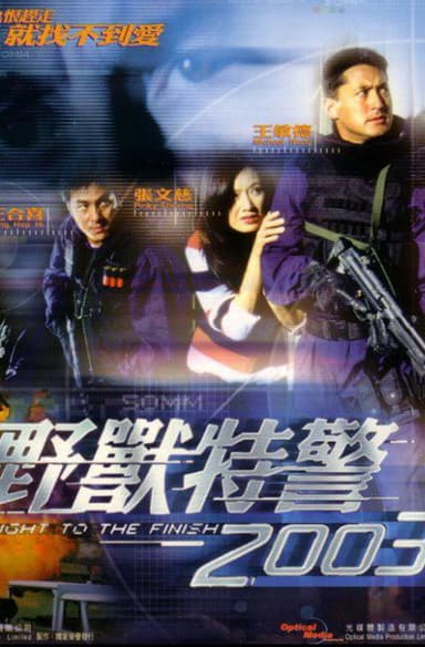 A Fight To The Finish poster