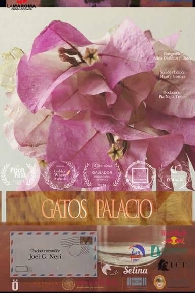 Gatos palacio poster