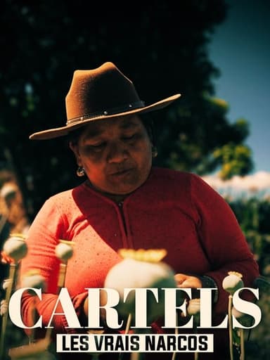 Les vrais Narcos poster