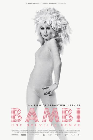 Bambi: A French Woman poster