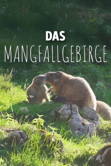 Der Bläuling und die neue Wildnis poster