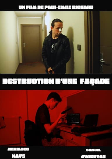 Destruction d'une façade poster