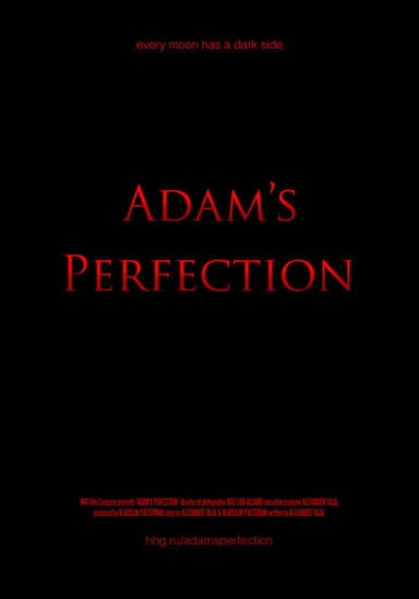 Adam's Perfection poster