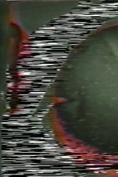 Soundgated Images poster