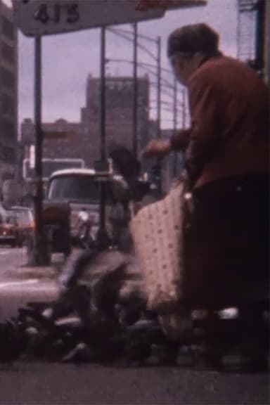 Pigeon Lady poster