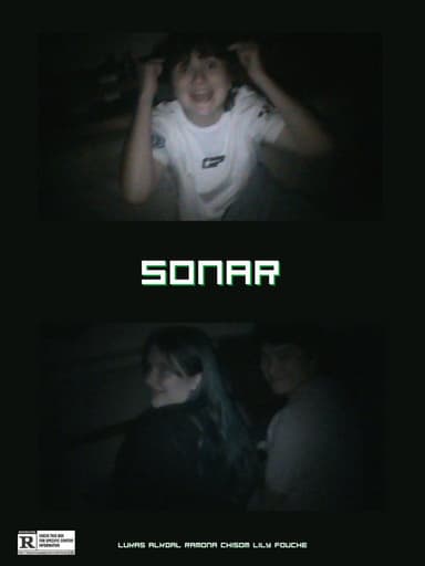 sonar poster