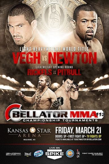 Bellator 113 poster