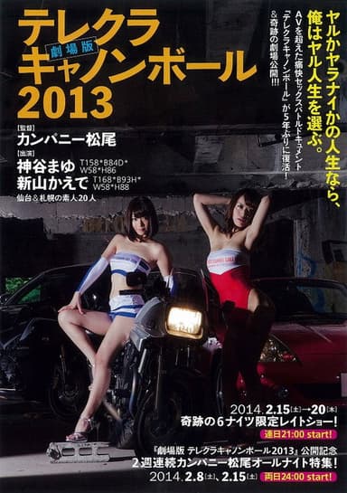 The Sex Cannon Ball Run 2013 poster