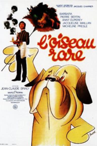 A Rare Bird poster