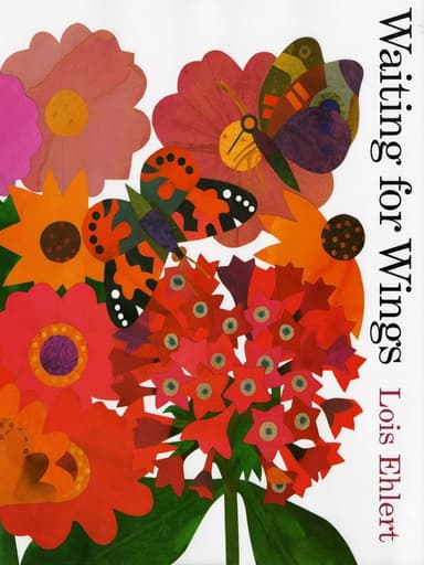 Waiting for Wings poster