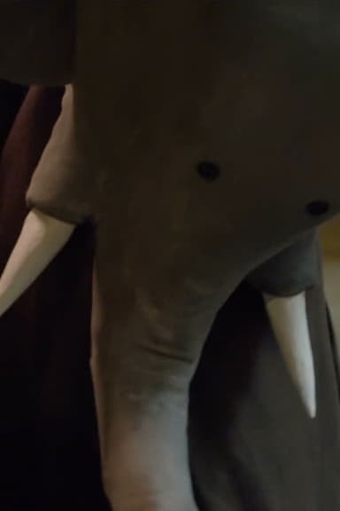 Un éléphant me regarde poster