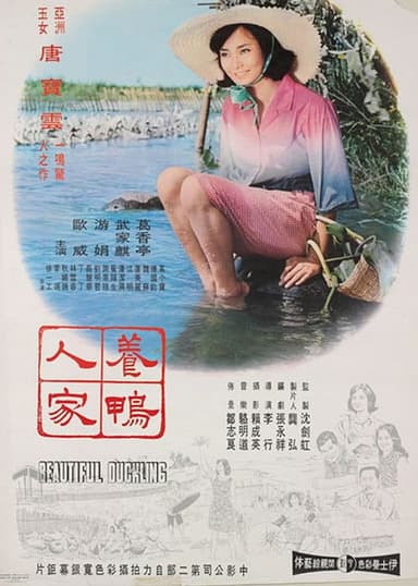 Beautiful Duckling poster