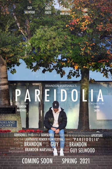 Pareidolia poster