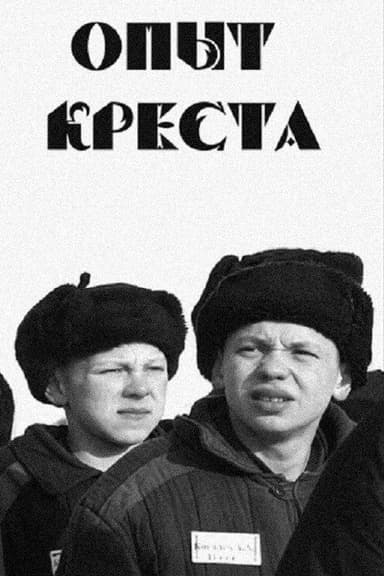 Experiment of the Cross poster
