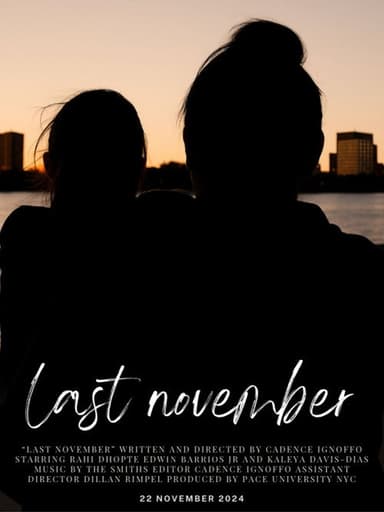 Last November poster