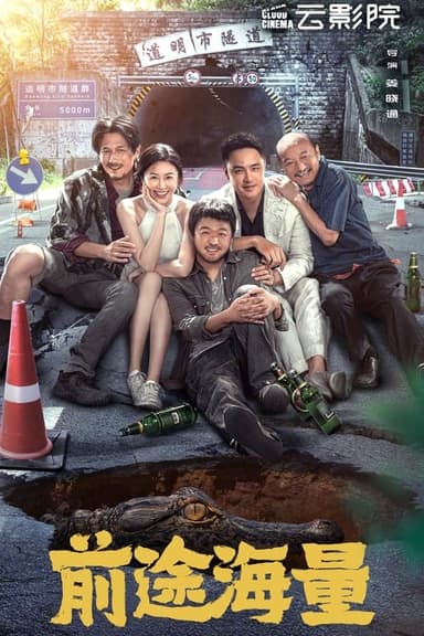 Dog Days Are Over poster