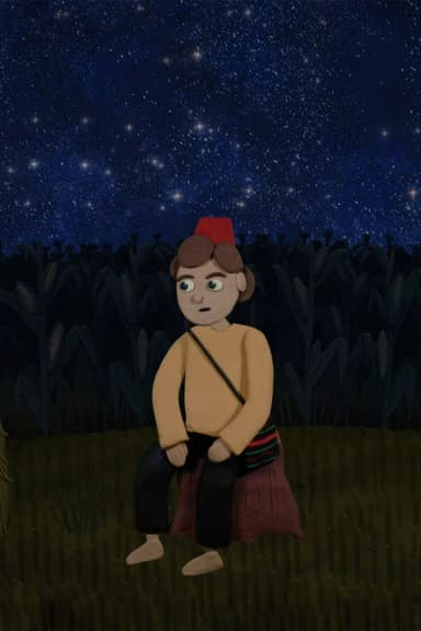 Gazing at the Starry Sky poster