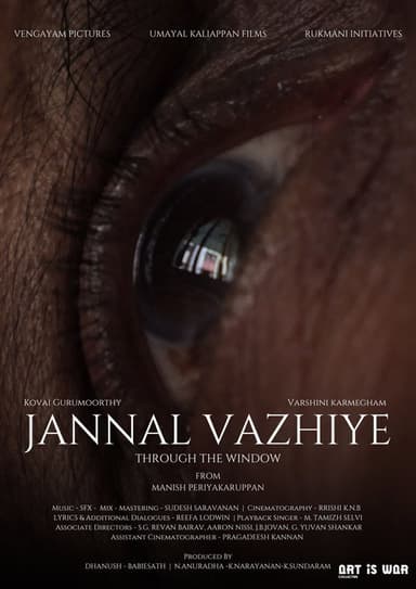 Through the window poster