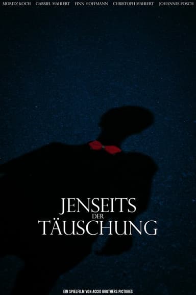 Jenseits der Täuschung poster